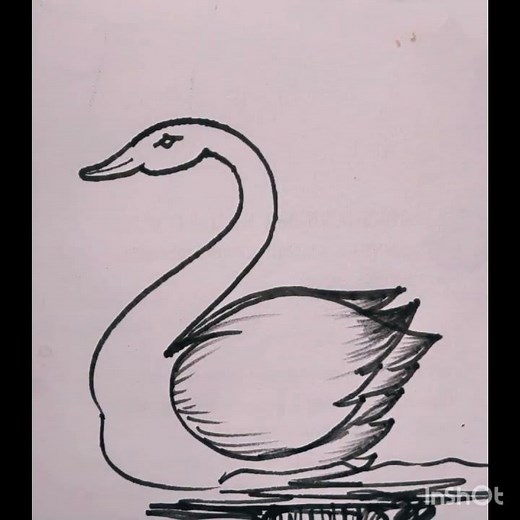 how to Draw a swan quickly. easy swan drawing. swan drawing. 2 to swan drawing