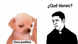 Unos pedillos, el MEME del perrito que es perfecto cuando no quieres dar detalles sobre algo