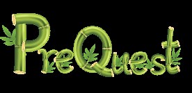 ISEB pre test, GL test & Ukiset | Pre-test Preparation Courses | BRANDON CENTRE