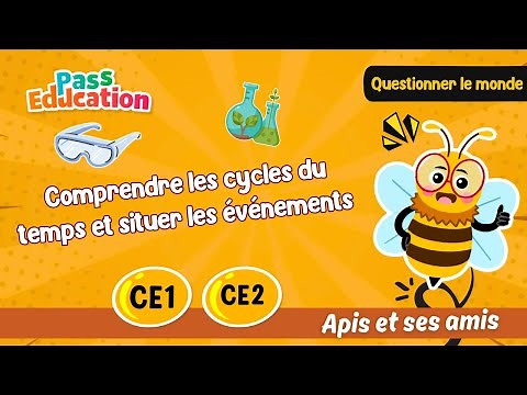Comprendre les cycles du temps et situer les événements CE1 - CE2 Apis & ses amis : Leçon, Exercices