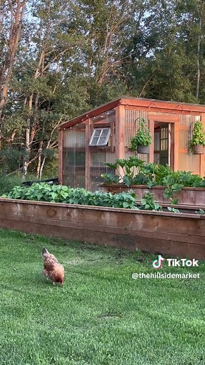 Building Your Own Greenhouse: Is It Worth It?