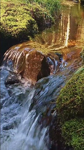 Soft Relaxing Music for Stress Relief - Meditation Music, Sleep Music, Soothing Music, Ambient Music