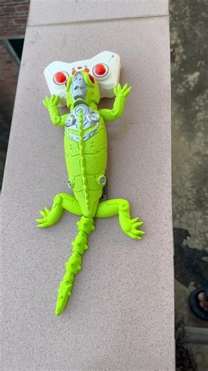 Wall Crawler Gecko, Rechargeable Remote Control Robot Kids Toys, Floor/Wall Crawling Dual Modes Wall Climbing Gecko Electric Lizard Toy, Prank Toys Birthday Gifts for Boys & Girls Ages 3 & Up wall climbing gecko toy #toy #toyreviews #learningtoys #kidsplaycenter #toysandplay #interactivedogtoy #smartphonekids #creativetoysforkids #playroommusthave #lightuptoys #wallcrawler #toys