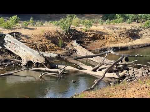 Exploring Collie, Western Australia – Hidden Gems