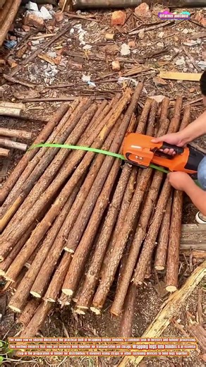 The Art of Bundle Wrapping Timber