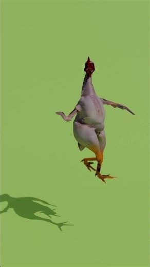 Dancing Chicken – Funny 3D Animation #3danimation #blender #3d #samba
