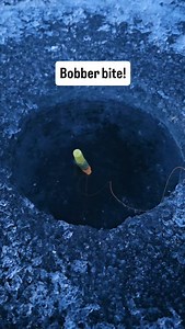 Classic bobber bite! #fishingaddict #icefishing #fishinglife | TUT Outdoors