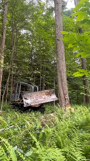 6.5K views · 16 reactions | Line tree needing a push #logging #dozer #logger | Scare | Facebook
