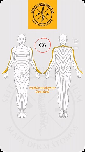 Anatomy Academy on Instagram: "👀 Ever wondered how your body “maps” sensations? Dive into the fascinating world of dermatomes! 🌍 In this quick-paced video, we’re highlighting each dermatome across the body — areas of skin that are connected to specific spinal nerves. 🧠💡 From the neck to the feet, this video shows how different nerves control different sensations! 🔥 Whether you’re studying anatomy or just curious, this visual guide will have you learning fast. 🔍 Keep your eyes peeled, becau