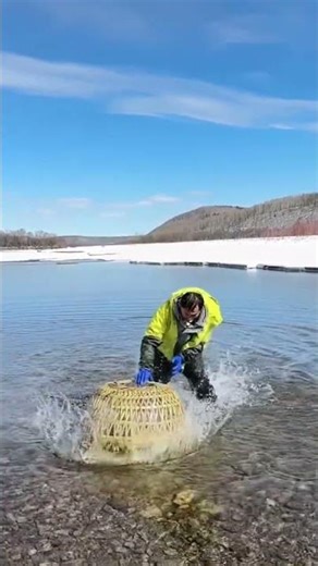 How to Master Chinese Cooking at Home: Quick & Easy Recipes