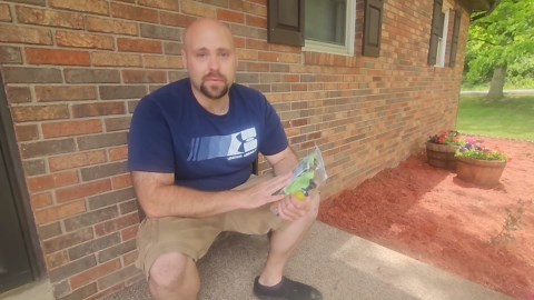 Inflatable Dog Cone Alternative - Soft, Cute & Adjustable Donut Collar for Small Dogs & Cats After Surgery