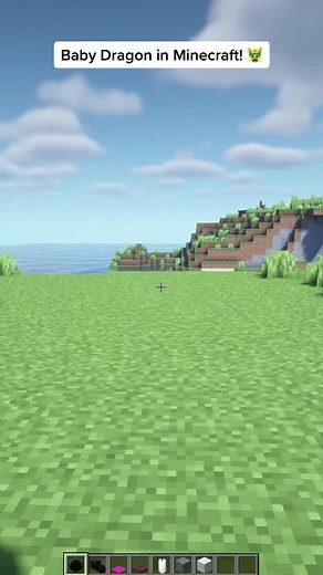 Baby Dragon in Minecraft! 🐲