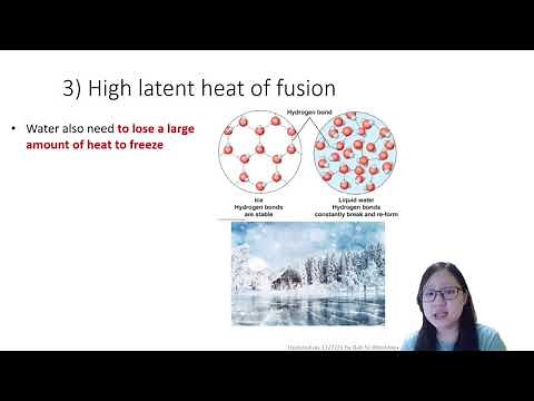 Chapter 2.4 - Water | Cambridge A-Level 9700 Biology