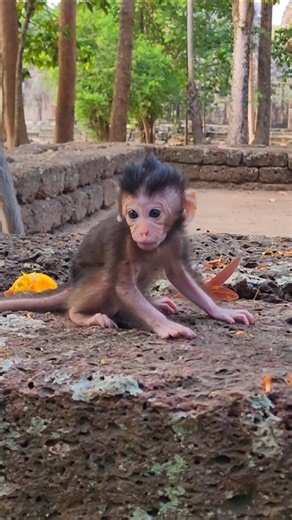 Awesome Cute Baby Dimitri Walking