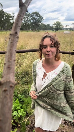 spangled.drongo on TikTok