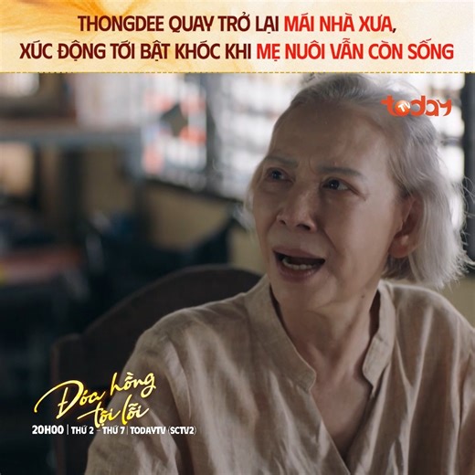 Nhiều năm trôi qua, bây giờ Thongdee đã ở phiên bản trưởng thành hơn, cổ cũng cảm thấy vui khi được gặp lại mẹ nuôi 😌 -------------------------- 📺 Phim “Đóa Hồng Tội Lỗi" trên TodayTV (SCTV2) lúc 20h00 thứ 2 đên thứ 7 hàng tuần #DoaHongToiLoi #TodayTV #phimThaiLan #BaifernPimchanok #IMC | TodayTV