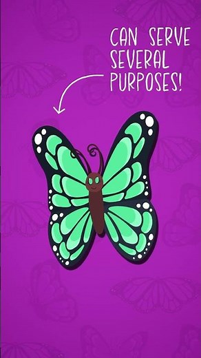 I Wonder… why are butterflies so colourful? #education #butterflyfacts #animalfacts #pollinator