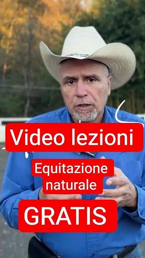 Free natural horsemanship content #matteonihorsemanship