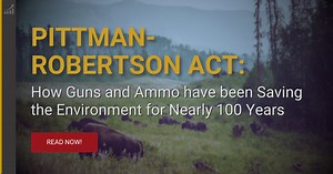 Pittman-Robertson Act: How Guns and Ammo Save the Environment
