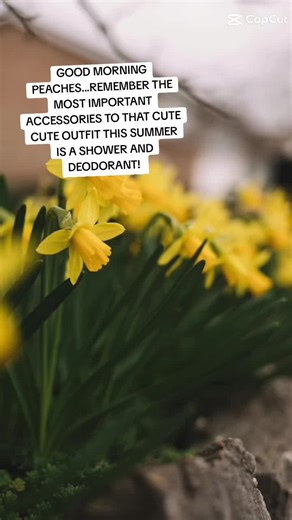 Just reminding folks to remember hygiene is important...not judging but if you look like it took you 4 hrs to get ready but smell like old hot dog water and bad onions then...wash yourself! #hygiene #deodorant #shower #sweat #washday