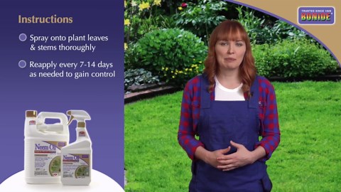 Bonide Captain Jack's Neem Oil, 16 oz Ready-to-Use Spray, Multi-Purpose Fungicide, Insecticide and Miticide for Organic Gardening