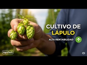 Cómo Producir LÚPULO para CERVEZA ARTESANAL | Guía Práctica de AgroTech