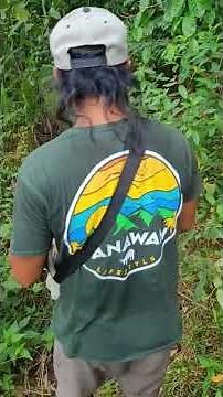 Part 2: Trying wild exotic fruits in the jungle in the Philippines! 🇵🇭 #philippines #exoticfruit