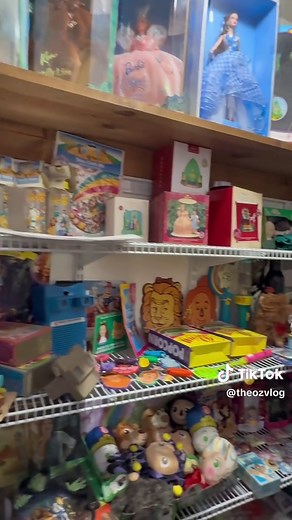 Organizing The ClOZet: Wizard of Oz Collection