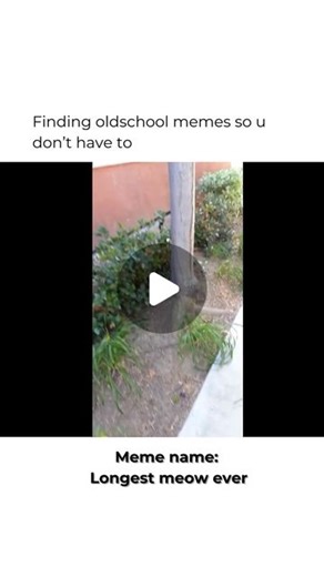 OldschoolEmpire | Meme‘s & Funny Videos on Instagram: "**😺 Longest Meow Ever Meme! 😂** Check out this hilarious and unexpected moment featuring the longest meow ever! This viral video captures a cat letting out an impressively long meow, making it a favorite for its sheer length and the comedic reactions it elicits. **📖 Storyline:** In this funny clip, a cat begins to meow and just doesn’t stop! The meow continues for an unusually long time, surprising viewers with its duration. The combinati