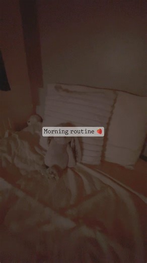 Very quick morning routine! #aesthetic #morning #goviral #goviral #new #jellycat #routine #routine