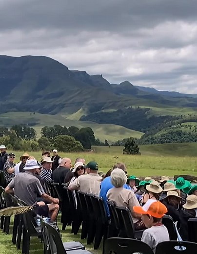 186 reactions · 13 shares | This little owl was in top form today. #guide #outandabout #drakensberg #adventure #kzn | Berg Adventures | Facebook
