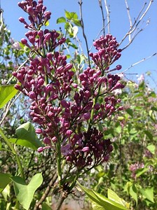 BLOG: The Color Palette Of Spring