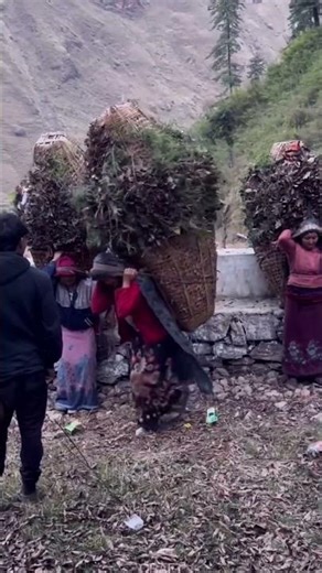 Unique Manual Cargo Carrying: Traditional Transport Process