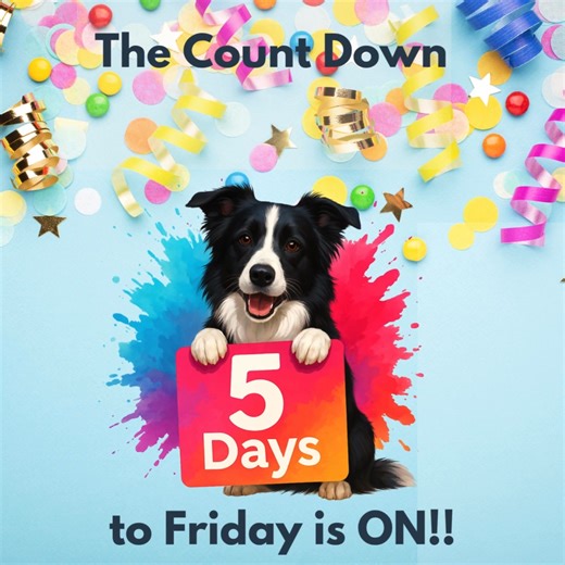 Big week ahead for AAC Ontario Regionals 2026! Something exciting is landing on Friday… and let’s just say, it’s not the only big thing coming your way. We’re bringing you TWO major announcements this week! Any ideas what might be next? #AACRegionals2026 #AgilityOntario #AgilityCanada #AgilityLife #macdogs | Middlesex Agility Club