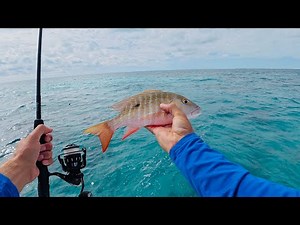 Florida Keys Reef Fishing for Mutton Snapper