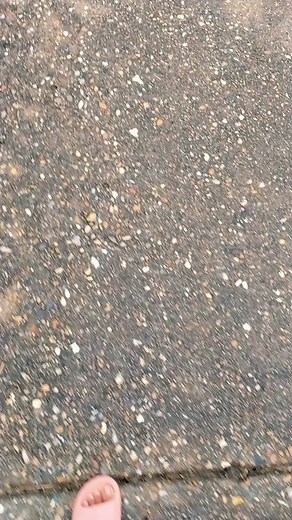 Miharu (@they_dont_like_miharu)’s videos with original sound - Miharu