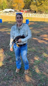 568 reactions · 11 shares | Asil pullet Shirt @aggearclothing use ➡️ BoneyardFarm15 for 15 percent off your purchase. Boots 量 @bruntworkwear Use code BONEYARDFARM10 for $10.00 off your purchase. Sunglasses @wileyx | Boneyard farm | Facebook