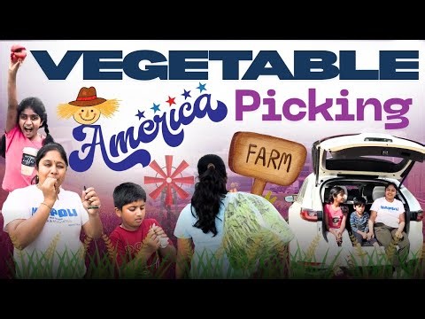 U-Pick Vegetable Farm in the USA 🌱 (4K) | Fresh Farm Experience