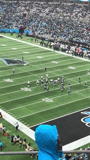 Mike Jackson's Stunning Interception for the Panthers