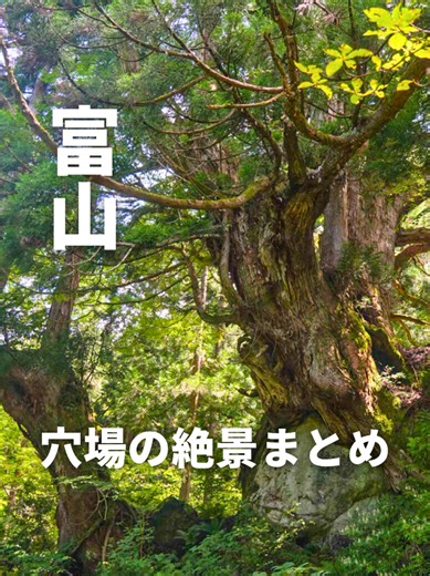 【富山県】穴場の絶景！スポットまとめ ①洞杉群 巨大な伏条台杉が群生する森 📍〒937-0857 富山県魚津市三ケ 魚津ICから車で約40分 ②東山円筒分水槽 美しい波紋を描く円筒分水槽 📍〒937-0015 富山県魚津市東山 魚津ICから車で約10分 ③おおかみこどもの花の家 名作アニメの世界を感じる家 📍〒930-0464 富山県中新川郡上市町浅生18 上市スマートICから車で約25分 ④貝田新円筒分水槽 田園に佇む美しい円筒分水槽 📍〒937-0033 富山県魚津市島尻 魚津ICから車で約10分 #富山観光 #富山旅行 #富山ドライブ #富山 #富山県