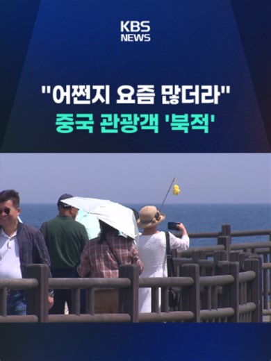 한중 관계가 지난해 APEC, 올해 정상회담을 거치며 훈풍이 불고 있는데요. 여기에다 단체 관광 무비자 정책으로 중국인들의 국내 방문이 크게 늘었습니다. #중국인 #관광객 #무비자 #정상회담 #단체관광 #일본 #중일갈등 #KBS #KBSNEWS