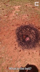 An actual meteor crash-landed in this guy's back garden! 😱 | VT