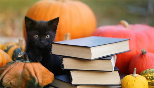 24 must-read mysteries by Wisconsin authors