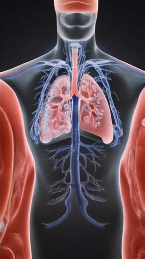 Shocking Human Body Facts🤯#shortvideo #shorts #shortsfeed #facts #viral