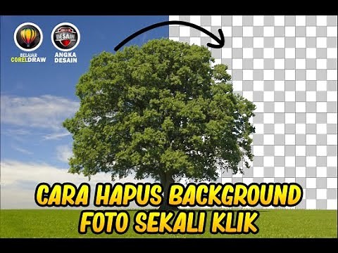 how to remove photo background in one click in corel draw (with english subtitle)