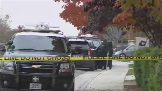 11-year-old fatally stabbed in Elk Grove identified