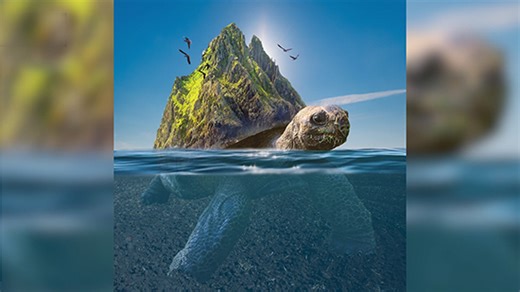 Create a Tortoise Island with Layer Editing