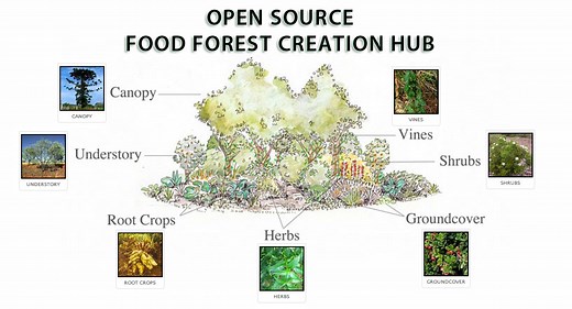 Food Forest Open Source Hub :: What | Why | How