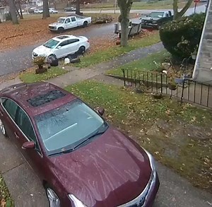 51K views · 512 reactions | DAMN DOG TRIED TO TAKE MY POPS OUT THAT 10MM GOT HIS MIND RIGHT THOUGH!!!!! 藍藍藍藍藍藍藍藍 | Zac Scott | Facebook