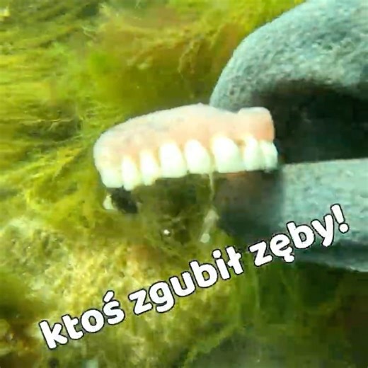 MY MOST ABSURD FINDINGS #diving #scubadiving #scuba